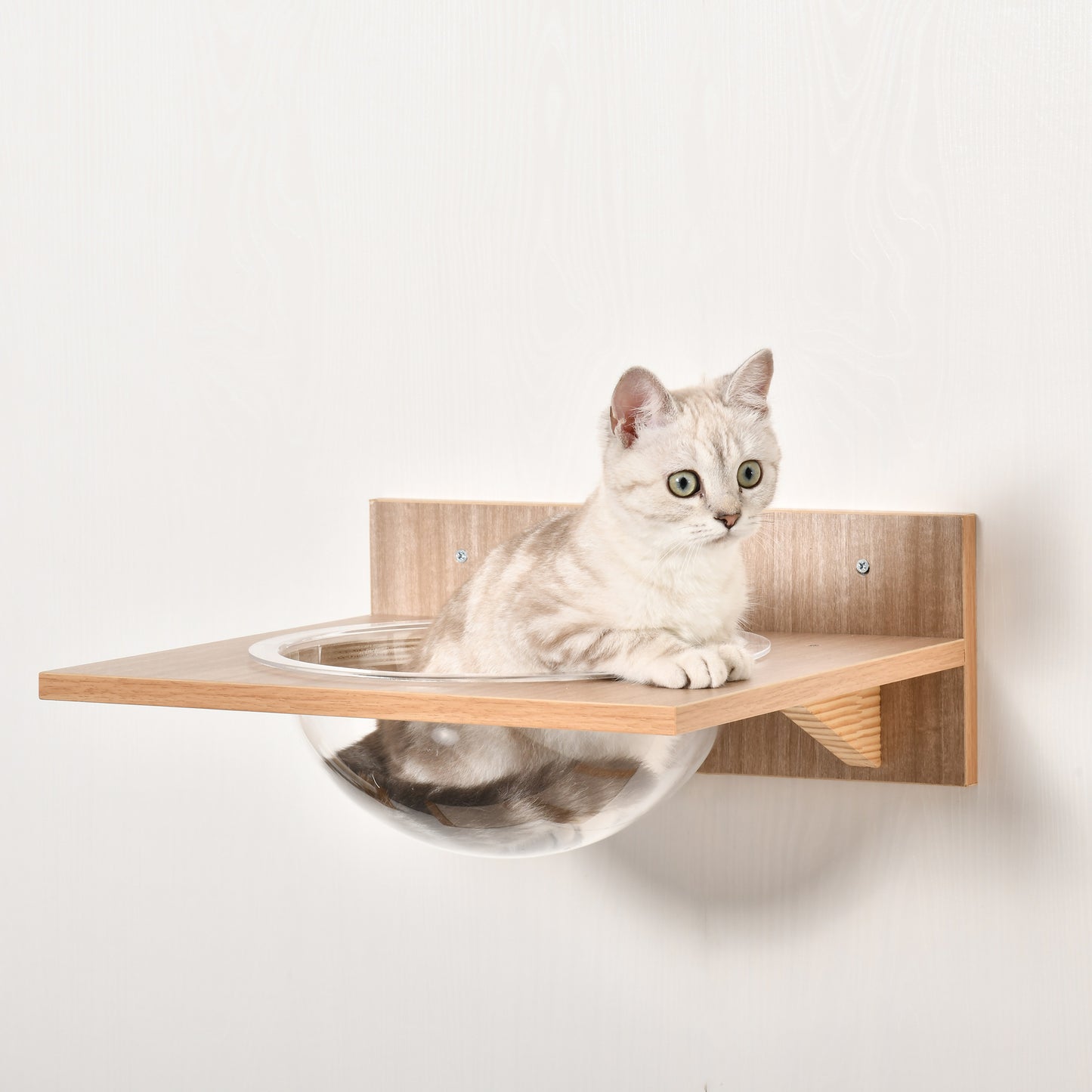 PawHut 4 Piece Wall-mounted Cats Climbing Shelf Set Cat Tree Kitten Perch Activity Centre with Hammock Scratching Post Jumping Platform Brown