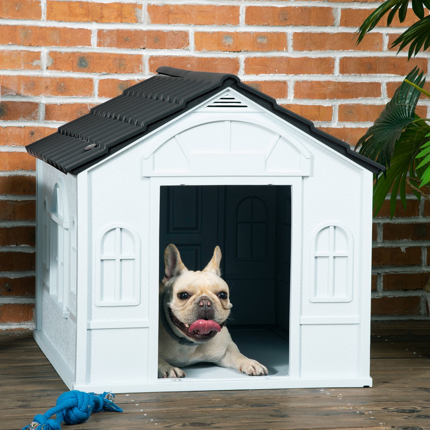 Plastic Dog Kennel House | Weatherproof | Slanted Roof | Cottage Windows | No-Tool Assembly | Medium Dogs up to 20kg | 65 x 75.7 x 63cm | Grey