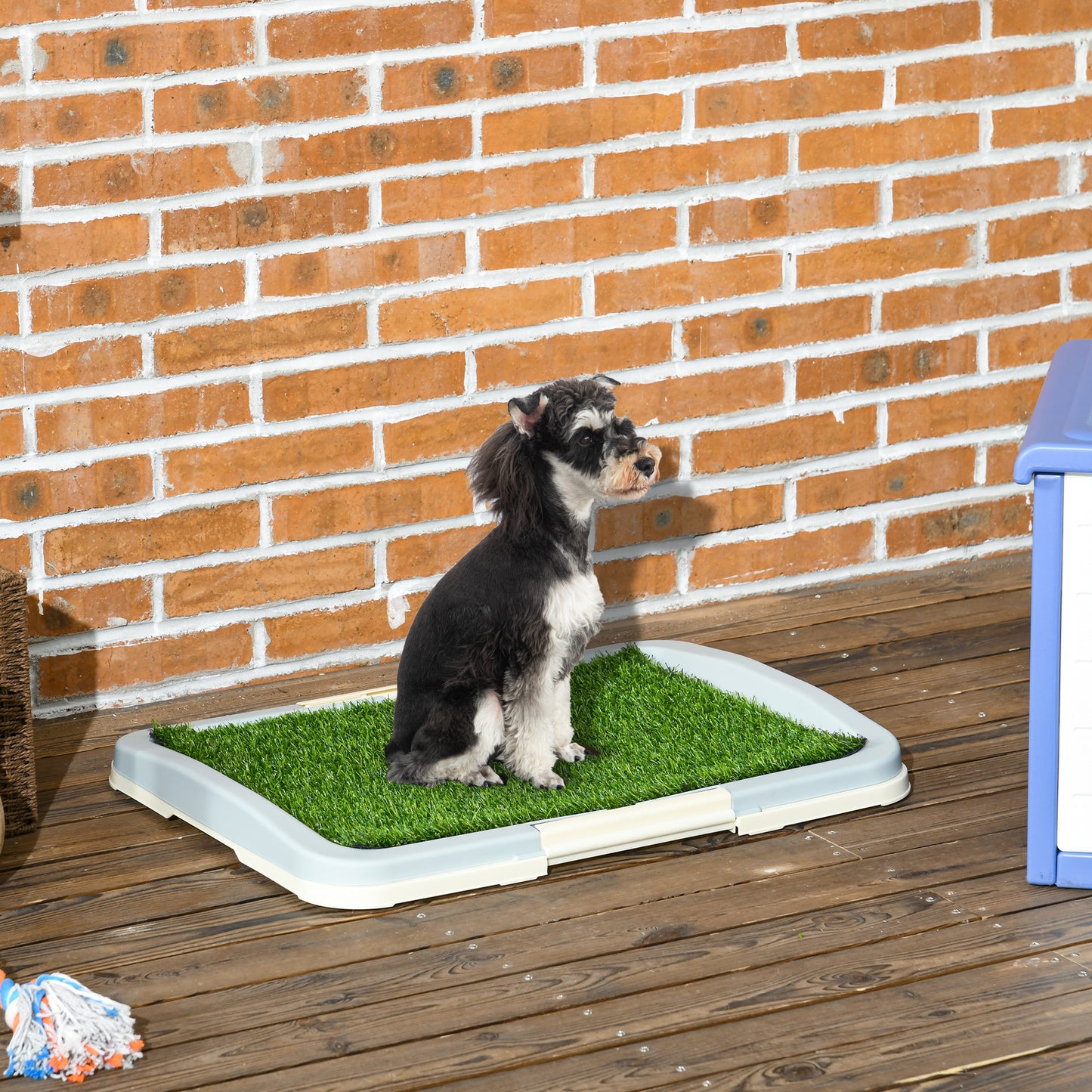 Indoor Puppy Training Toilet | Large | 3-Layer Design | Artificial Grass Pad | Grid Panel & Tray | Anti-Slip Pads | Portable | Suits Dogs Up to 37cm Body Length | 63x48.5x6cm | Green