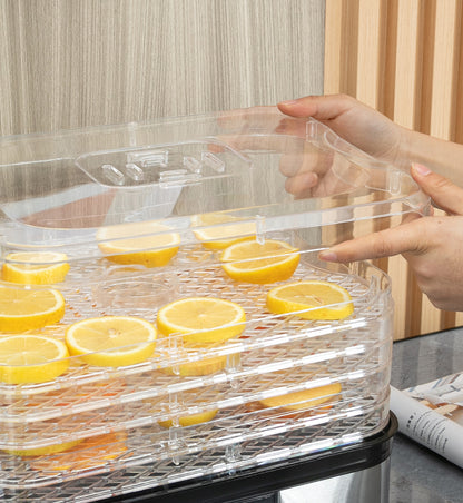 HOMCOM 5 Tier Food Dehydrator, 245W Stainless Steel Food Dryer Machine with Adjustable Temperature, Timer and LCD Display for Drying Fruit, Silver