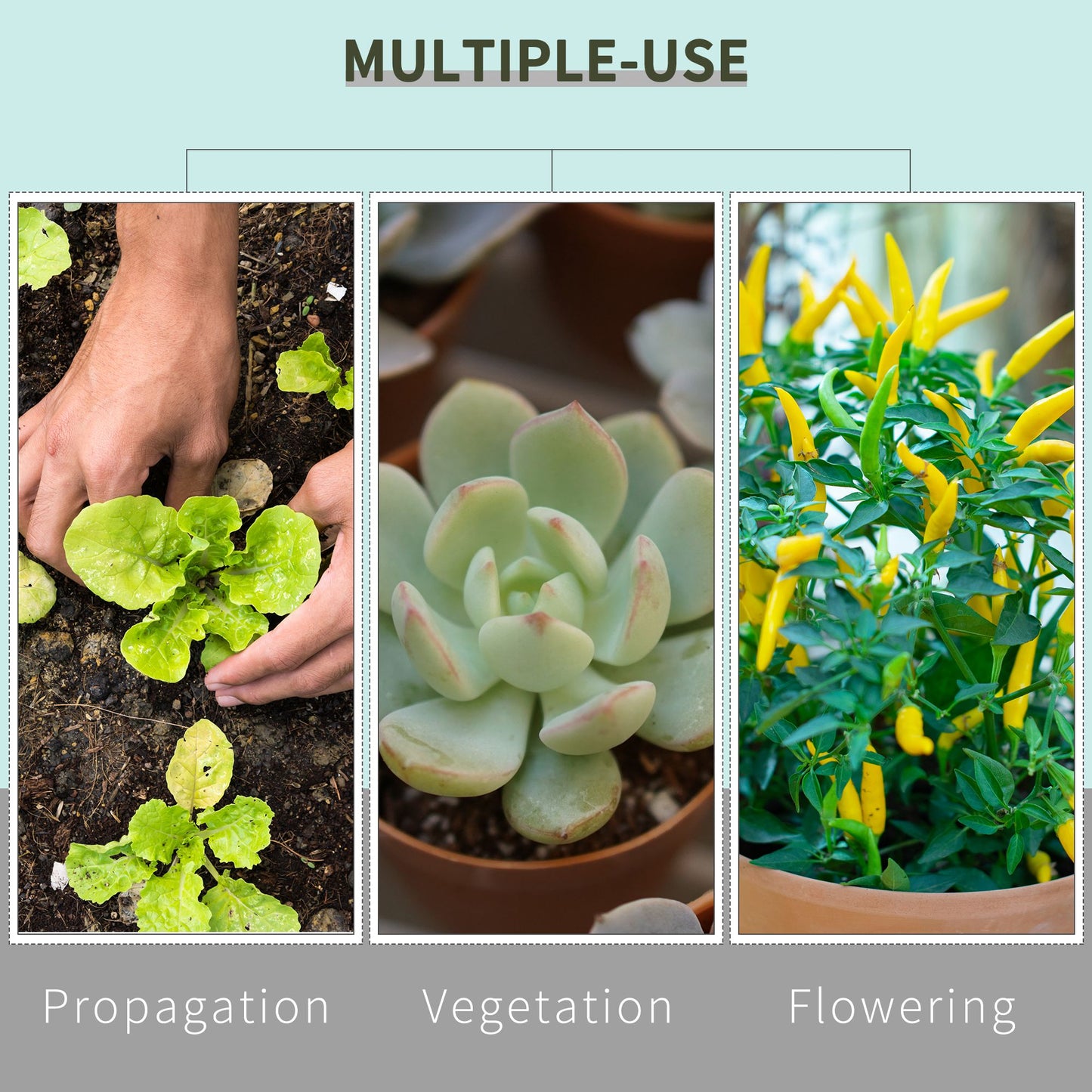 Outsunny Hydroponic Plant Grow Your Own Tent, 80L x 80W x 160Hcm-Black/Green