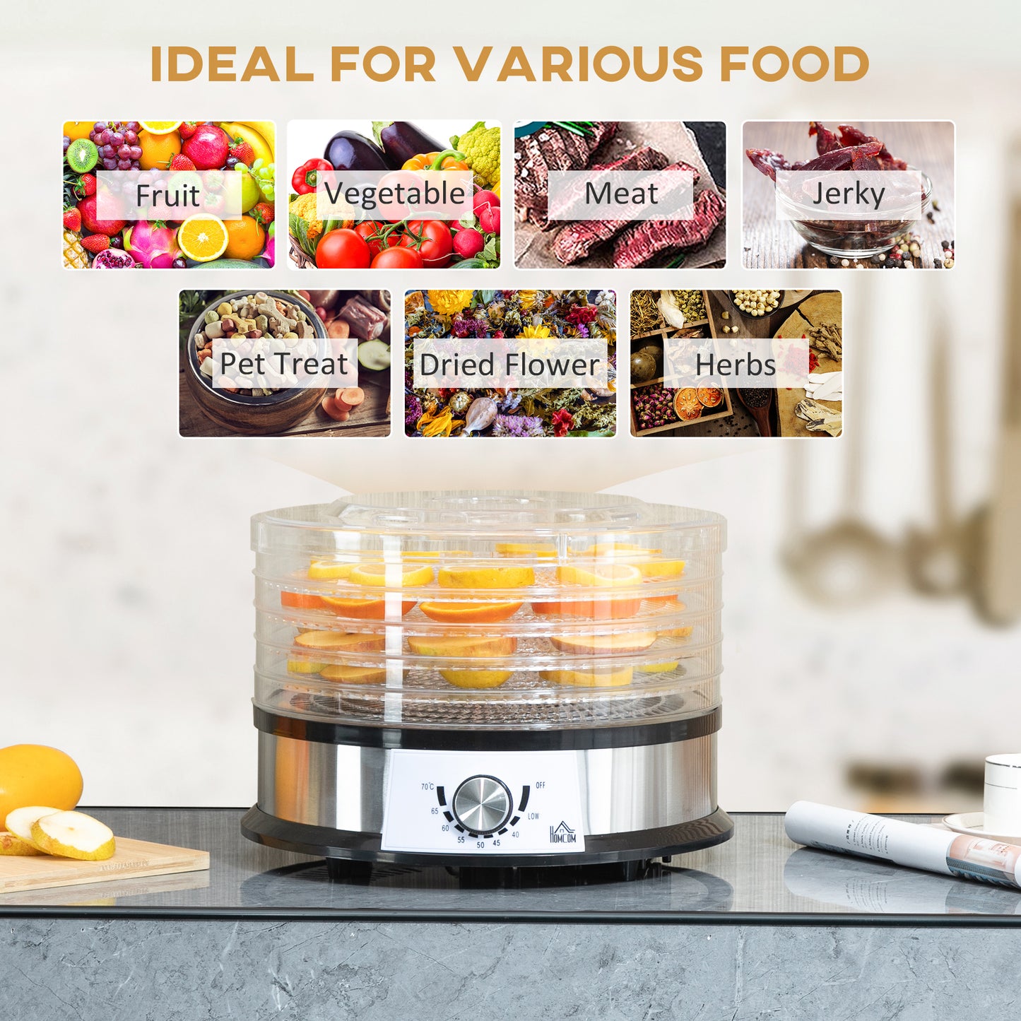 HOMCOM 5 Tier Food Dehydrator, 250W Stainless Steel Food Dryer Machine with Adjustable Temperature for Drying Fruit, Meat, Vegetable, Silver