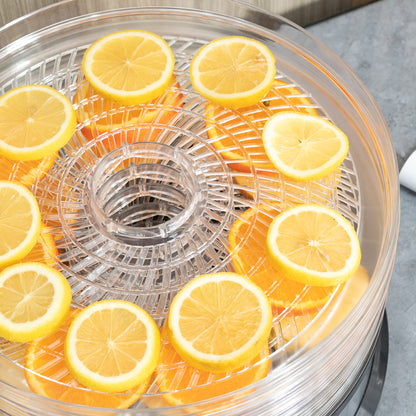 HOMCOM 5 Tier Food Dehydrator, 250W Stainless Steel Food Dryer Machine with Adjustable Temperature for Drying Fruit, Meat, Vegetable, Silver